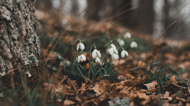 Погода в Україні на Великдень 2026