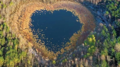 Унікальна краса: на Волині існує озеро у вигляді серця