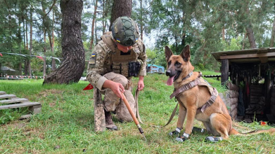 Історія дружби та служби: як прикордонник з Волині і його малінуа Атака шукають міни й вибухівку
