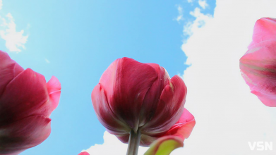 Яким буде початок весни на Волині: прогноз погоди на березень