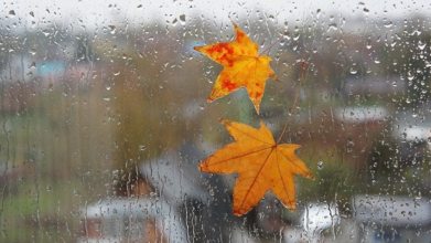 прогноз погоди на 1 листопада