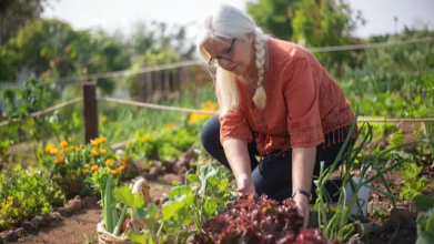 Що обов’язково посадити на городі до Великодня, а що — після