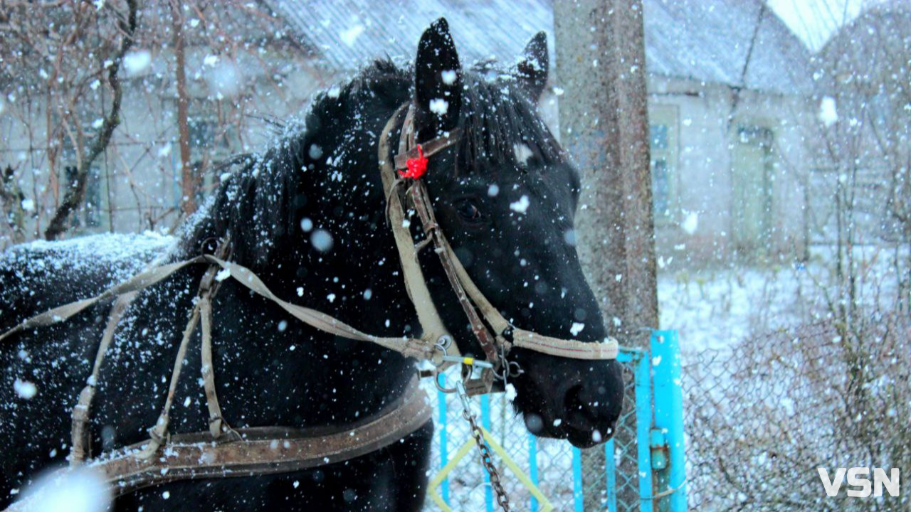 Нарешті сніг: прогноз погоди на Волині на робочий тиждень