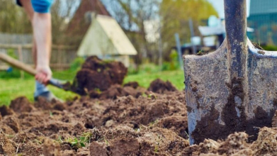 У які дні Вербного тижня категорично не можна працювати на городі