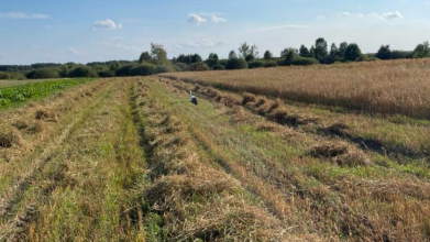 Жнива у розпалі: скільки коштує змолотити у селах на Волині