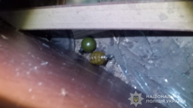 Поліція приїхала на виклик про домашнє насильство: у 26-річного волинянина вилучили дві гранати