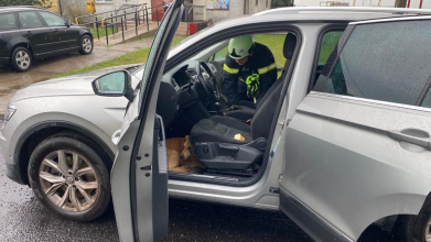 Луцькі рятувальники допомогли водію в якого собака «віджала» автомобіль