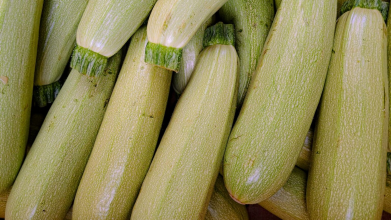 Будете мати мізерний врожай і тих, і інших: біля яких овочів не можна висаджувати кабачки