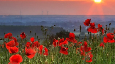 Прогноз погоди на літо-2026