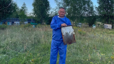 Мед купують зі всієї області: волинянин понад 15 років займається пасічництвом