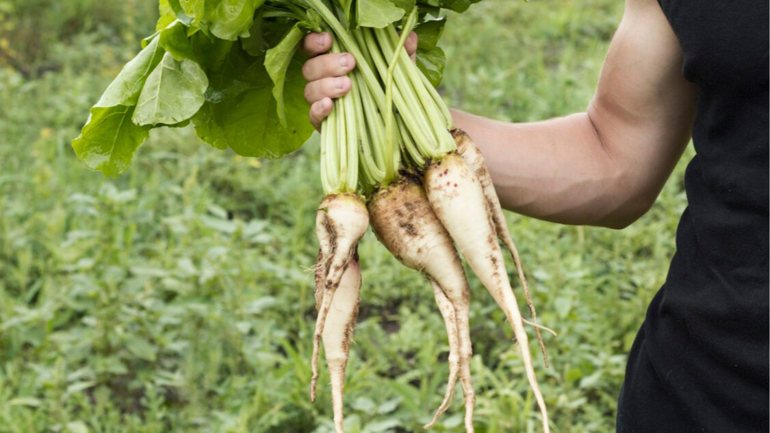 Як вкінці листопада назавжди вивести хрін з городу: зробіть це негайно