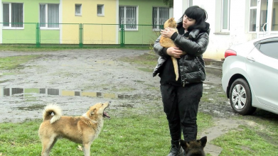 «Свою кішку не врятувала, рятую інших тварин»: історія переселенки з Сєвєродонецька, яка живе на Волині