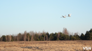 Сонце та нічні морози: якою буде погода на Волині протягом тижня