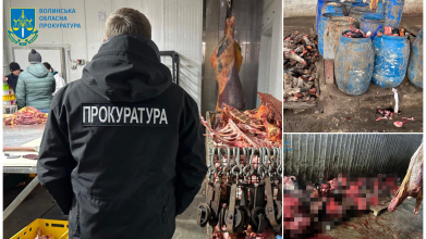 На Волині незаконно забивали тварин: суд визнав винними держслужбовця і підприємців