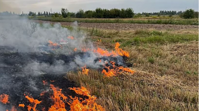 На Волині трагічно загинув чоловік: тіло виявили під час пожежі сухої трави