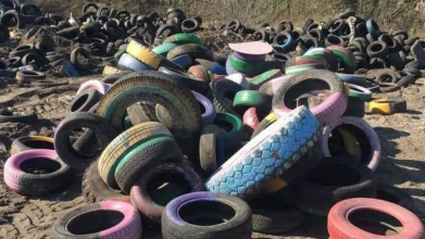 У Луцьку приберуть понад 50 шин із дворів і вулиць