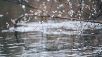 дощі , похолодання, прогноз погоди