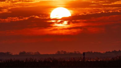 Магнітні бурі в Україні: який прогноз сонячної активності на 1 лютого