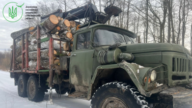 На Волині у заповіднику впіймали чоловіків, які незаконно різали й вивозили деревину