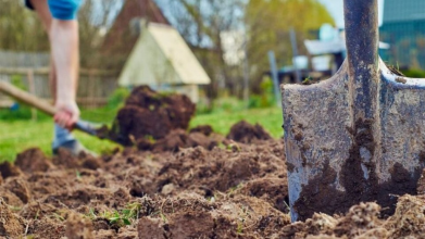 Чи можна працювати на городі на Свято Пресвятої Богородиці 2025