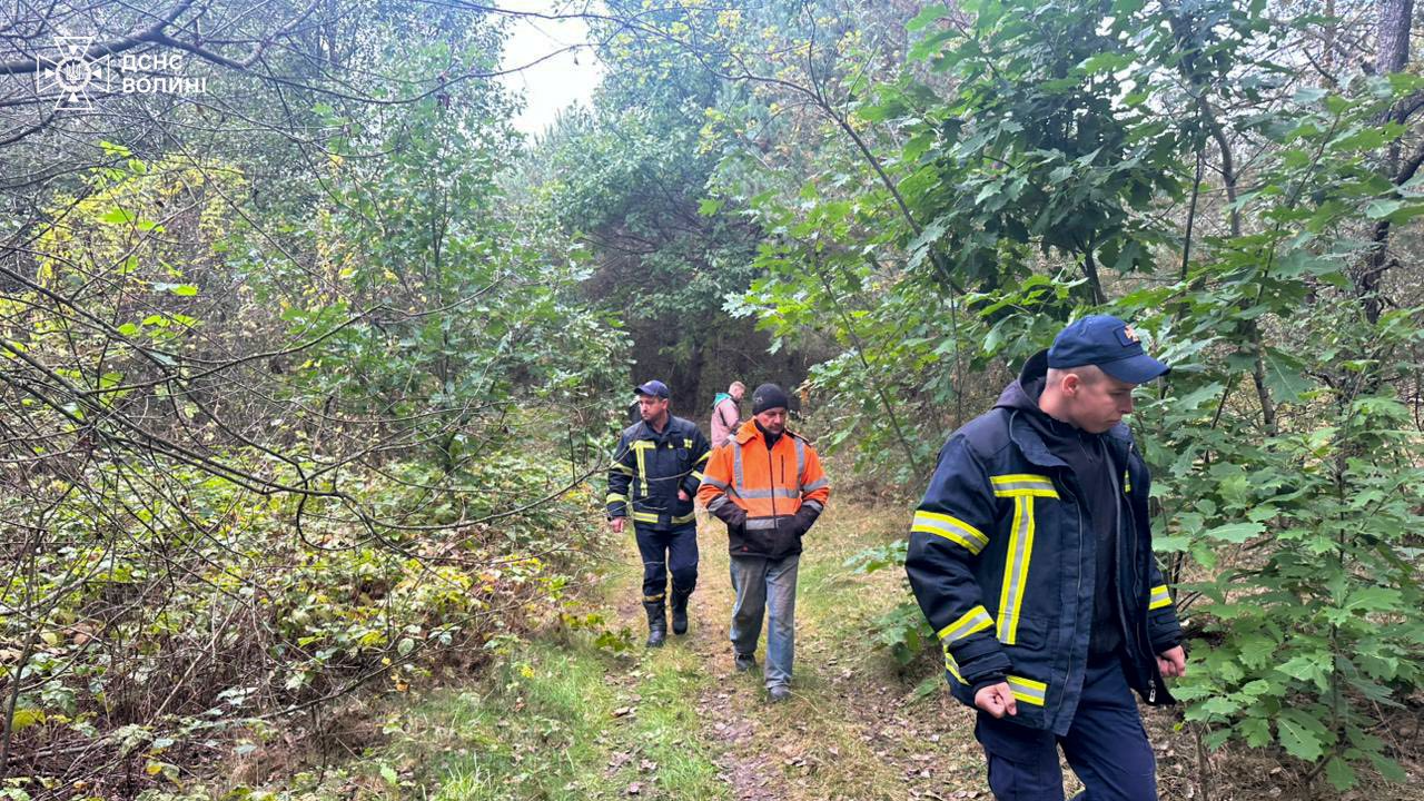 У лісі на Волині зник чоловік, його шукають вже другий день