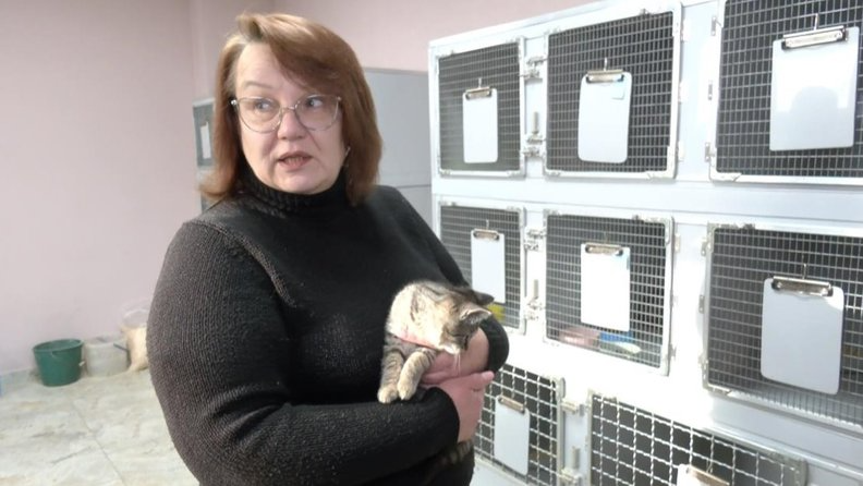 Як у Луцьку на підприємстві «Ласка» стерилізують і вакцинують тварин