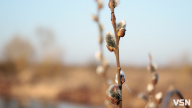 Теплі вихідні та різке похолодання: прогноз погоди на Волині
