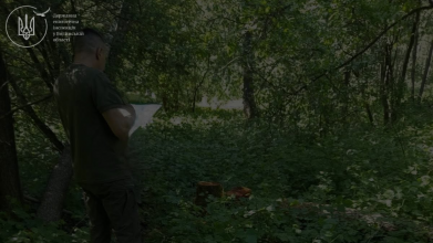На Волині виявили незаконну порубку дерев на понад 224 тисячі гривень