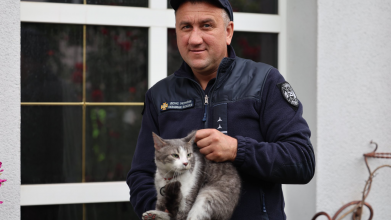 У Луцьку із задимленого будинку рятувальники винесли собаку Ская і кота Любарта