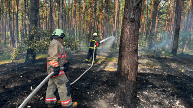 Майже 700 пожеж за пів року: волинян закликають обережно відпочивати на природі