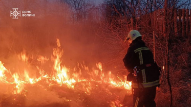 На Волині через людську недбалість вигоріло близько 8 га сухої трави та чагарників