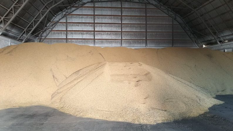 Ціна тримається, врожай стабільний: як волинські фермери завершили сезон сої