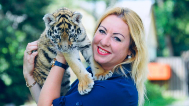Чому Луцький зоопарк здав у оренду тигрицю Трішу