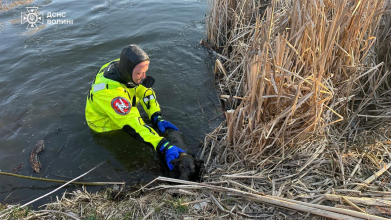 На Волині з крижаної води врятували собаку