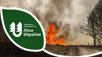 Під час чергової ворожої атаки на Волині та Рівненщині виникли дві лісові пожежі