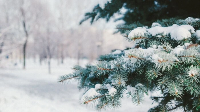 Рекордний холод: синоптики розповіли, якою буде зима та погода на Новий рік