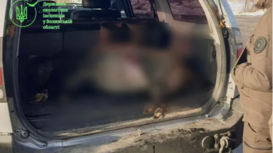 Убив самку дикого кабана — заплатить копійки: на Волині судили браконьєра