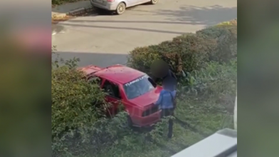 Авто витягували з кущів: у Луцьку на 34 тисячі оштрафували водійку, яка в’їхала в будинок і втекла