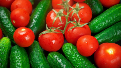 Підживлення огірків, помідорів і перцю