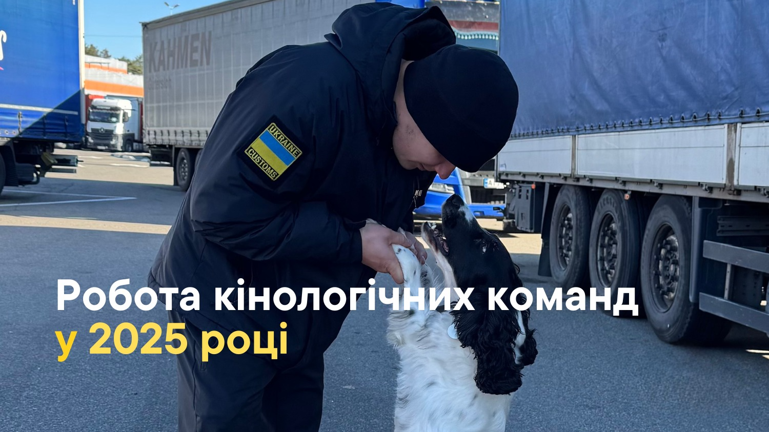 Чотирилапі помічники Волинської митниці встановили рекорд з виявлення контрабанди