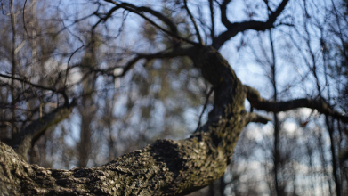 похолодання в Україні