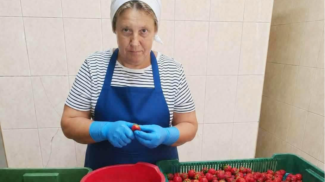 Після перерви повернулася до професії: на Волині жінка 50+ знайшла роботу завдяки державній програмі