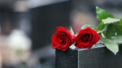 У Закарпатській області дівчата забрали квіти з могили загиблого військового. Відео