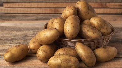 Найсмачніші та найкращі сорти картоплі для вирощування в Україні: перевірений рейтинг