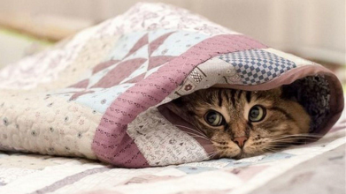 погода в україні 21 березня