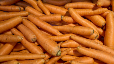 Найсолодші сорти моркви для вирощування на городі: їх не купиш у магазині