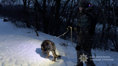 Їх зловили «на гарячому»: троє жителів Луцька обікрали будинок на 1,5 мільйона гривень