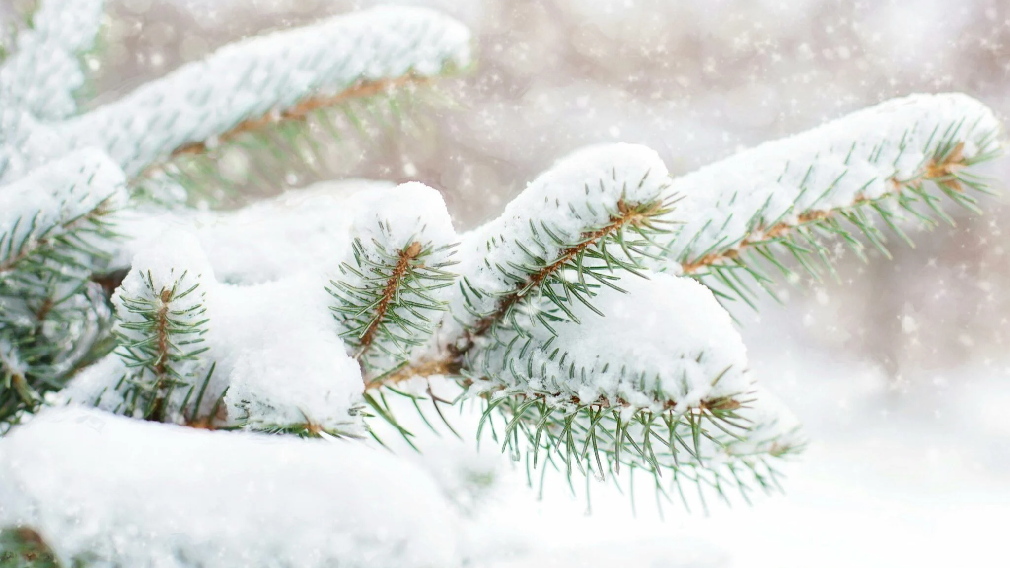 Морози й сніг на Новий рік: якою буде погода у святкову ніч