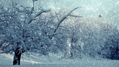 погода в Україні, Діденко