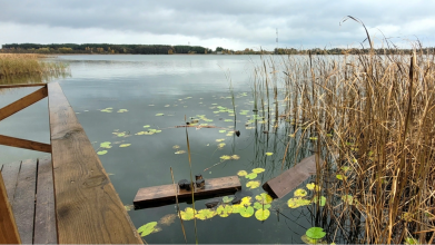 Невідомі понищили екостежку на території волинського нацпарку